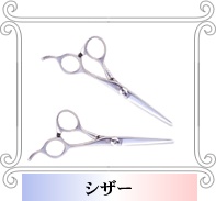 �V�U�[�E�Z�j���O